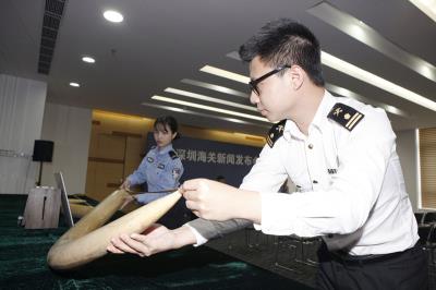 深圳海关摧毁特大象牙走私网络