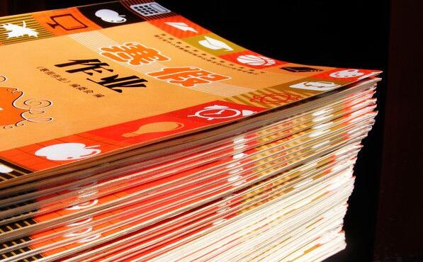 河南内乡五小:寒假作业多元化
